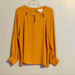 Joseph Ribkoff sheer long sleeve blouse